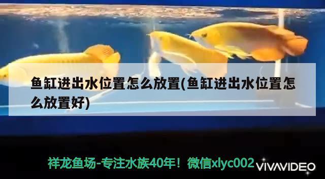 海水魚缸能用幾年換水 海水魚缸能用幾年換水嗎