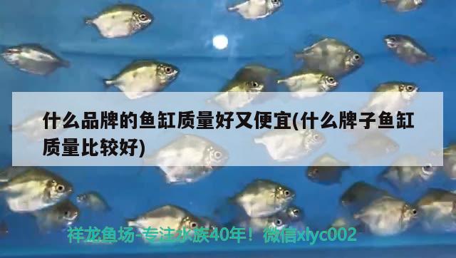 用4個塑料瓶制作一個方形小魚缸，送給孩子（4個塑料瓶制作一個方形小魚缸，送給孩子） 金三間魚 第3張