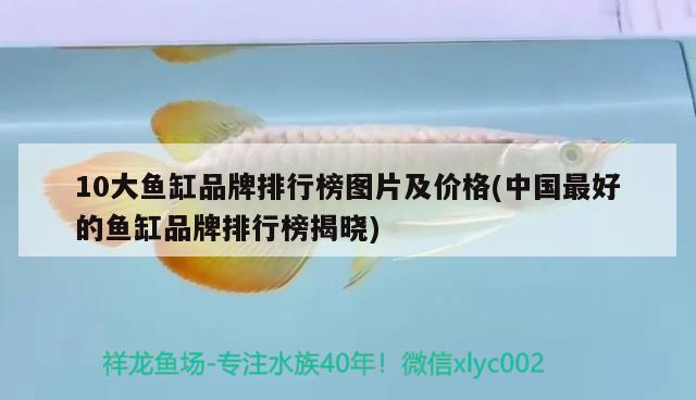 10大魚(yú)缸品牌排行榜圖片及價(jià)格(中國(guó)最好的魚(yú)缸品牌排行榜揭曉)