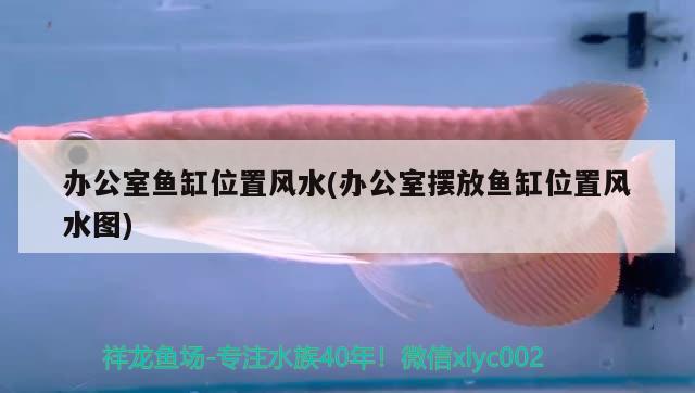 辦公室魚缸位置風(fēng)水(辦公室擺放魚缸位置風(fēng)水圖) 魚缸風(fēng)水