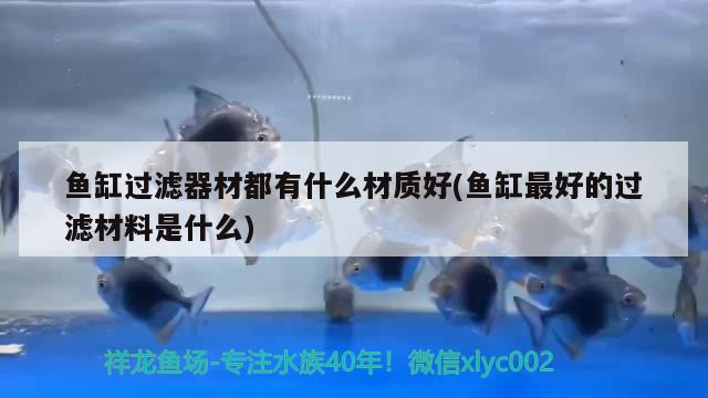 魚(yú)缸過(guò)濾器材都有什么材質(zhì)好(魚(yú)缸最好的過(guò)濾材料是什么) 雪龍魚(yú)