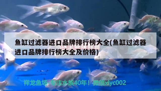 魚缸過濾器進口品牌排行榜大全(魚缸過濾器進口品牌排行榜大全及價格) 一眉道人魚