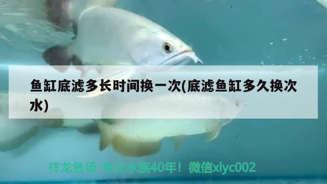 魚缸底濾多長時(shí)間換一次(底濾魚缸多久換次水)