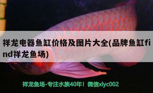 魚缸止逆閥怎么安裝視頻（魚缸氣泵止逆閥安裝視頻）