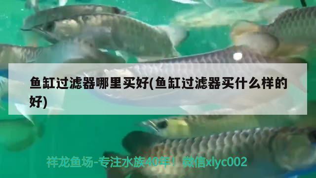 魚缸過濾器哪里買好(魚缸過濾器買什么樣的好) 定時(shí)器/自控系統(tǒng)