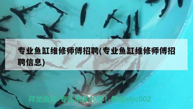 魚缸怎么磨邊：魚缸磨邊是直邊斜邊好 觀賞魚市場 第1張