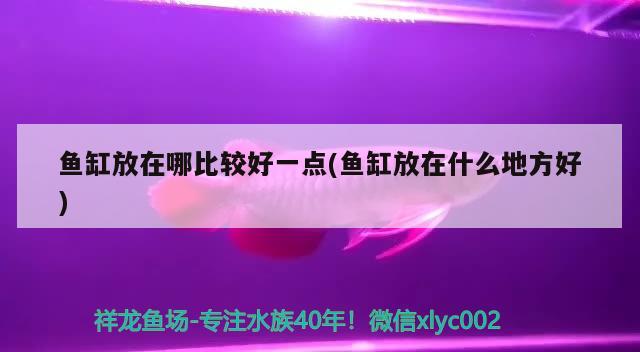 新手開水族批發(fā)市場進貨渠道有哪些，新手開封水族批發(fā)市場地址在哪里開水族店進貨渠道有哪些