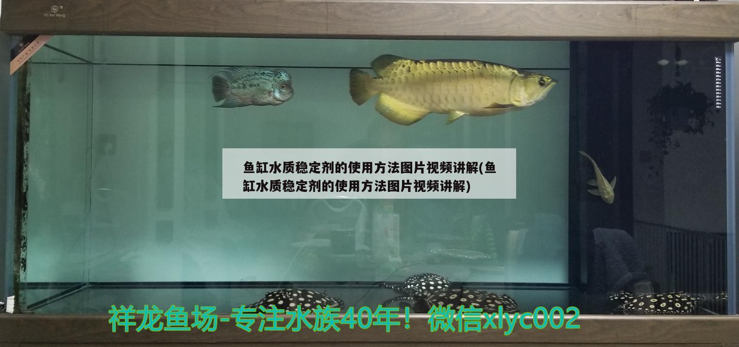 魚缸水質(zhì)穩(wěn)定劑的使用方法圖片視頻講解(魚缸水質(zhì)穩(wěn)定劑的使用方法圖片視頻講解)