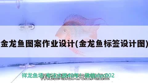 金龍魚圖案作業(yè)設計(金龍魚標簽設計圖)