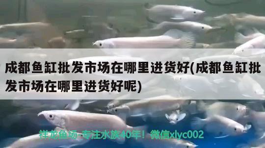 成都魚缸批發(fā)市場在哪里進(jìn)貨好(成都魚缸批發(fā)市場在哪里進(jìn)貨好呢) 養(yǎng)魚的好處