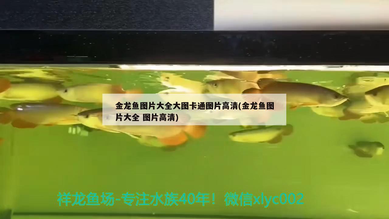 魚缸上出水口聲音大怎么解決（魚缸出水口異響） 其他品牌魚缸 第1張