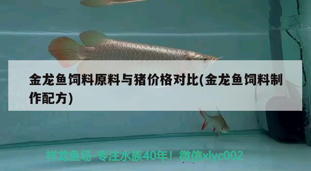 箭魚怎么做好吃箭魚有什么營養(yǎng)價值，箭魚怎么做好吃、箭魚怎么做好吃、箭魚有什么營養(yǎng)價值 魚缸水泵 第2張