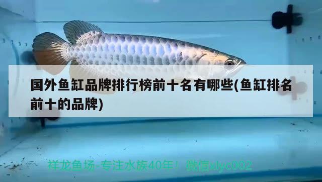 鄂爾多斯水族批發(fā)市場地址（鄂爾多斯水果批發(fā)市場在哪里_） 養(yǎng)魚知識 第2張