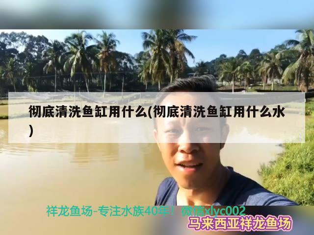 徹底清洗魚缸用什么(徹底清洗魚缸用什么水) 觀賞魚魚苗