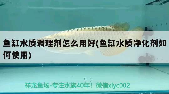 魚缸水質(zhì)調(diào)理劑怎么用好(魚缸水質(zhì)凈化劑如何使用) 丹頂錦鯉魚