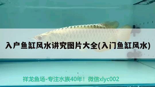 入戶魚缸風(fēng)水講究圖片大全(入門魚缸風(fēng)水) 魚缸風(fēng)水