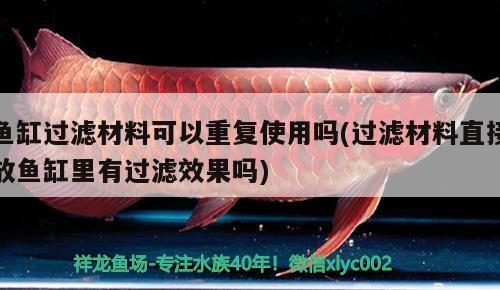 魚缸過濾材料可以重復使用嗎(過濾材料直接放魚缸里有過濾效果嗎) 白子球鯊魚