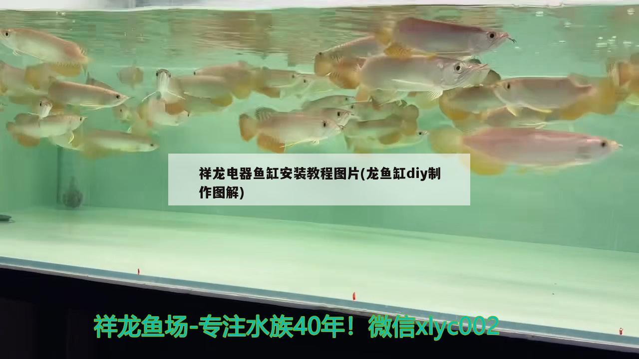 魚缸石頭長(zhǎng)綠色（魚缸水發(fā)綠是什么原因怎么解決） 殺菌消毒設(shè)備