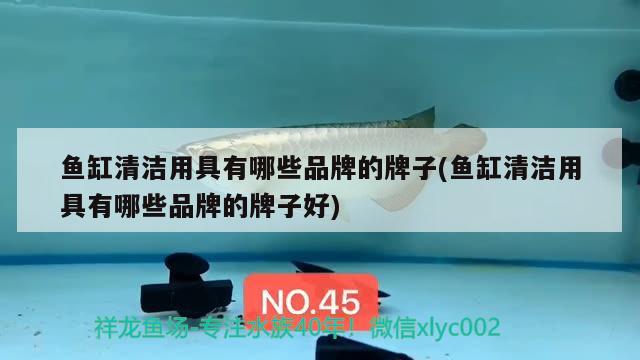 魚缸清潔用具有哪些品牌的牌子(魚缸清潔用具有哪些品牌的牌子好) 一眉道人魚苗