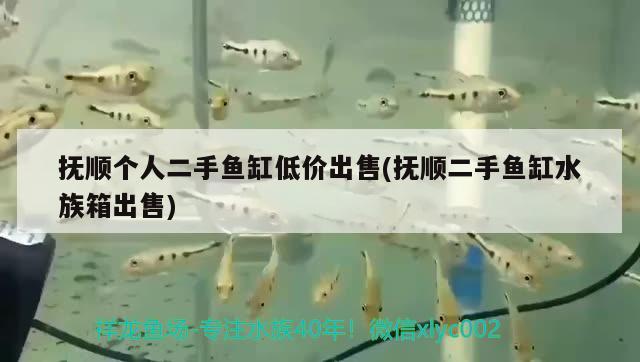 潮州魚缸定制廠家地址及電話（潮州淡水魚批發(fā)市場）