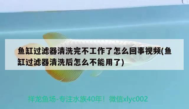 魚(yú)缸過(guò)濾器清洗完不工作了怎么回事視頻(魚(yú)缸過(guò)濾器清洗后怎么不能用了) 銀龍魚(yú)百科