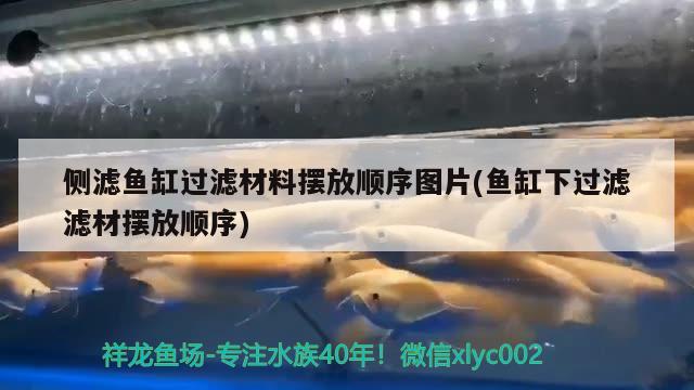 側濾魚缸過濾材料擺放順序圖片(魚缸下過濾濾材擺放順序)