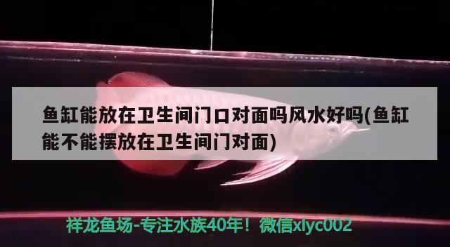 魚缸能放在衛(wèi)生間門口對面嗎風水好嗎(魚缸能不能擺放在衛(wèi)生間門對面) 魚缸風水