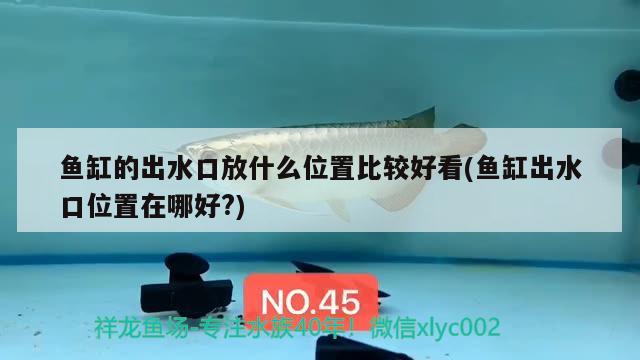 魚(yú)缸的出水口放什么位置比較好看(魚(yú)缸出水口位置在哪好?) 錦鯉池魚(yú)池建設(shè)