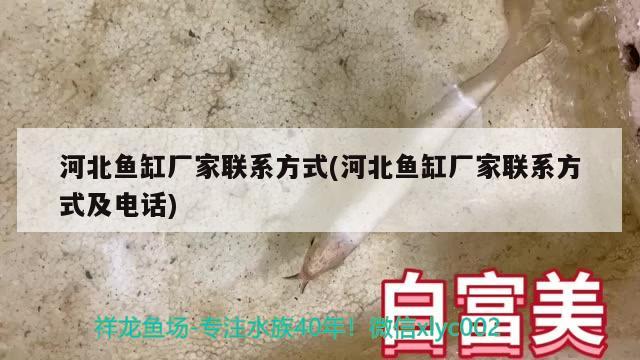 河北魚缸廠家聯(lián)系方式(河北魚缸廠家聯(lián)系方式及電話)