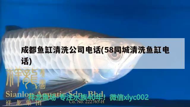 成都魚缸清洗公司電話(58同城清洗魚缸電話)