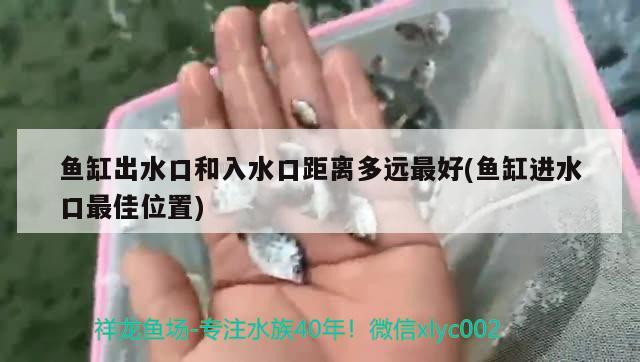 廣州市天河區(qū)沙河錦敬花木魚烏店 全國水族館企業(yè)名錄 第4張