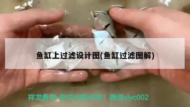 魚缸換水沒有困水條件怎么給魚缸換水，魚缸換水的正確方法，如何給魚缸換水