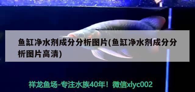 金龍魚收購西王(金龍魚收購紅牛) 水族品牌