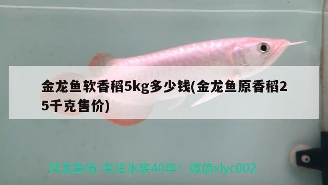 金龍魚軟香稻5kg多少錢(金龍魚原香稻25千克售價) 新加坡號半紅龍魚（練手級紅龍魚）