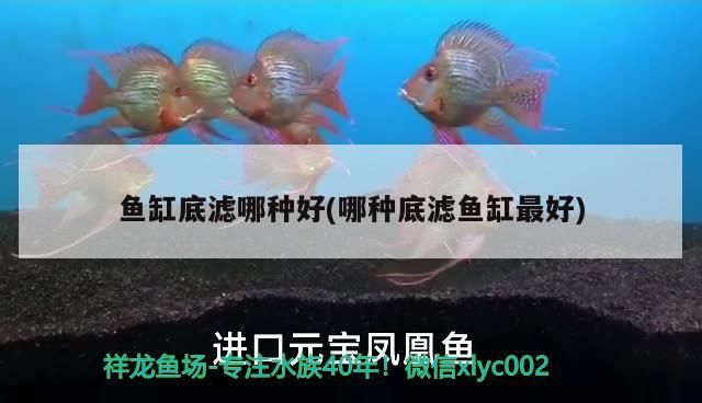 南通魚缸廠家聯(lián)系電話號碼查詢地址：南通魚缸廠家聯(lián)系電話號碼查詢地址及電話 水族展會