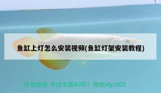 魚缸上燈怎么安裝視頻(魚缸燈架安裝教程) 委內(nèi)瑞拉奧里諾三間魚