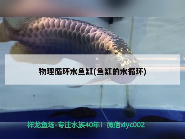 物理循環(huán)水魚缸(魚缸的水循環(huán))