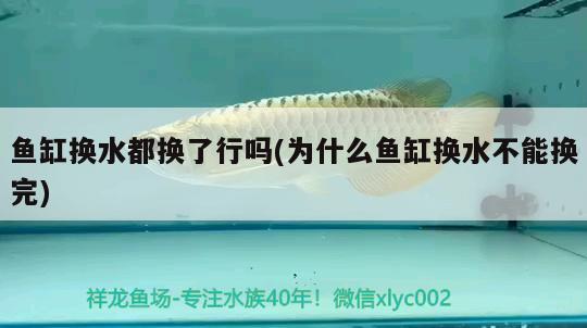 魚缸換水都換了行嗎(為什么魚缸換水不能換完)