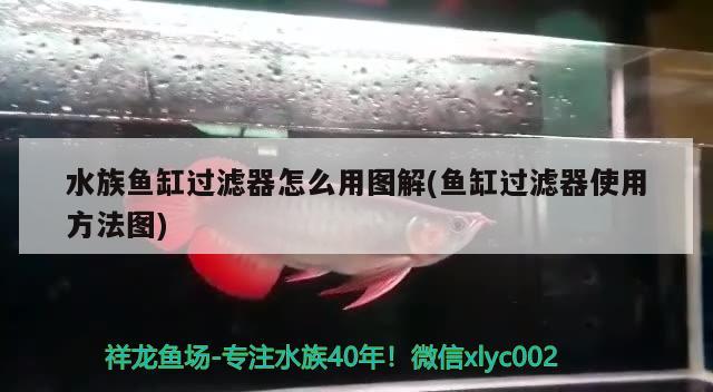 水族魚缸過濾器怎么用圖解(魚缸過濾器使用方法圖)