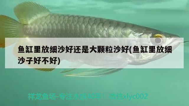 孟吉爾萬吉日常更新 廣州孟吉爾 第2張