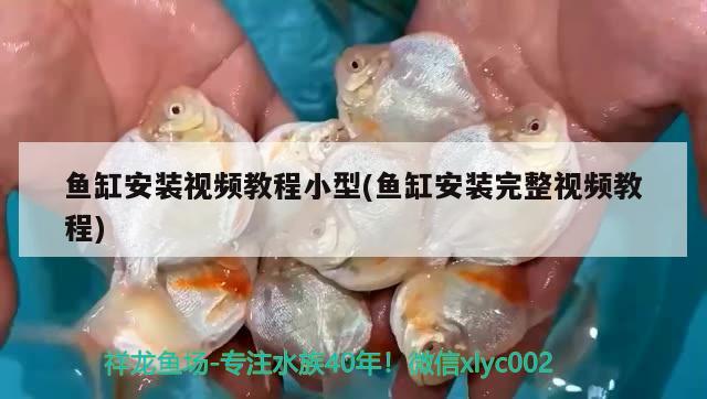 魚缸安裝視頻教程小型(魚缸安裝完整視頻教程) 觀賞魚百科