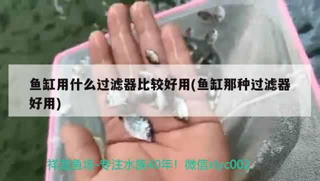 魚缸用什么過濾器比較好用(魚缸那種過濾器好用) 龍魚百科