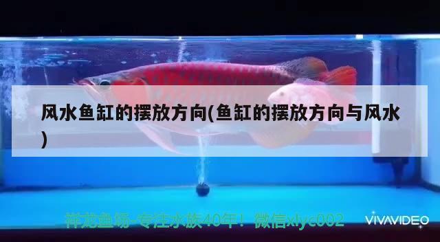 風(fēng)水魚缸的擺放方向(魚缸的擺放方向與風(fēng)水) 魚缸風(fēng)水