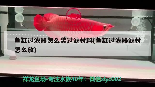 魚缸過濾器怎么裝過濾材料(魚缸過濾器濾材怎么放) 沖氧泵