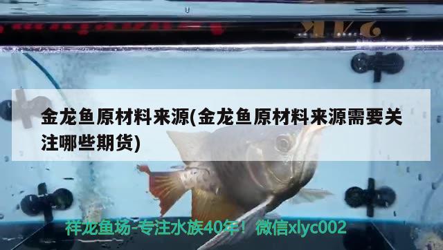 金龍魚原材料來源(金龍魚原材料來源需要關注哪些期貨) 黃金河虎魚