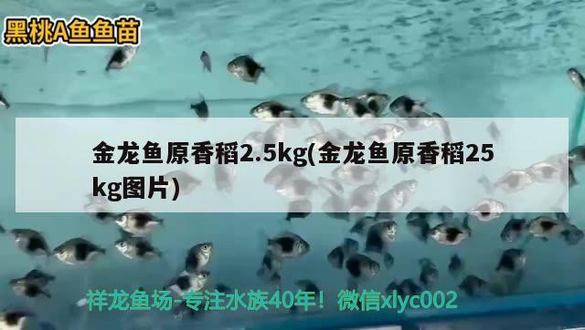 清理魚缸的刷子 清理魚缸的刷子好的