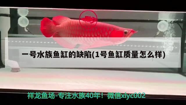 一號(hào)水族魚缸的缺陷(1號(hào)魚缸質(zhì)量怎么樣) 紅魔王銀版魚