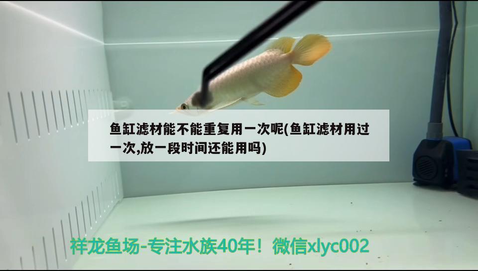 氣泡石出氣少怎么解決，如何讓氣石的氣泡不把水到處亂濺 養(yǎng)魚的好處 第2張