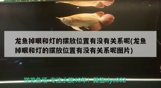 蘭州城關區(qū)雁灘花魚市場沈凡水族店 全國水族館企業(yè)名錄 第3張