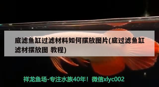 底濾魚缸過濾材料如何擺放圖片(底過濾魚缸濾材擺放圖教程) 魚缸清潔用具